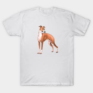 Italian Greyhound Beauty T-Shirt